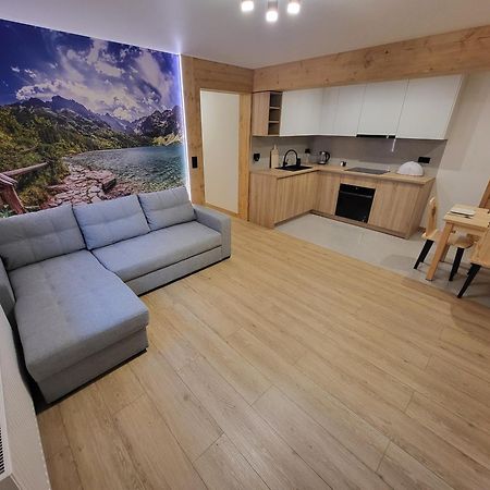 Apartament Chycow Potok Zakopane Luaran gambar